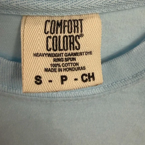 Comfort Colors Sky Blue Tee with Pink Bow and Pig - Picture 3 of 4